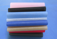 新民涤纶（PET）无纺布是什么